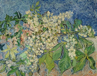 Blühende Kastanienzweige, 1890 von Vincent van Gogh
